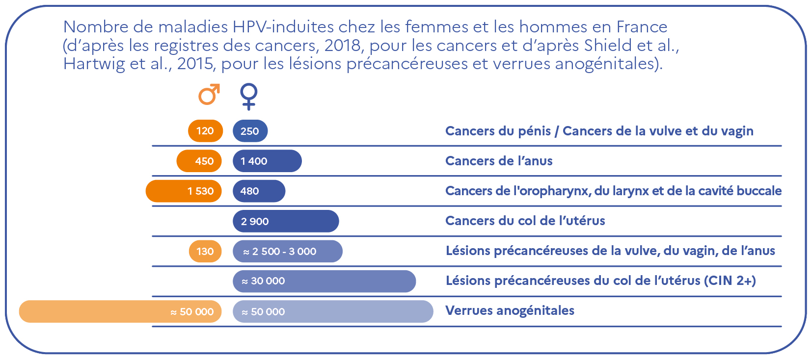 HPV1